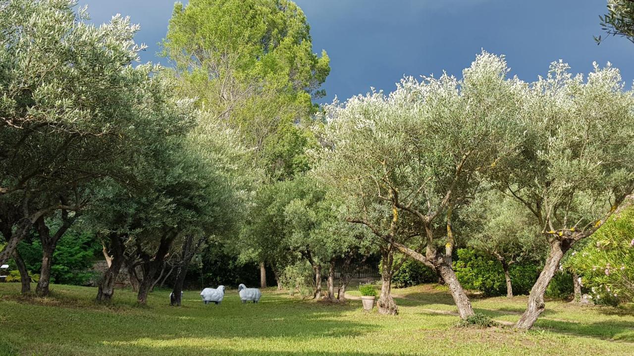 Bed and Breakfast Pierres Blanches Cotignac Exterior foto